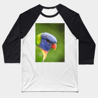 Rainbow Lorikeet Baseball T-Shirt